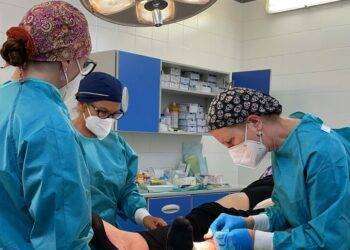 San Giovanni di Dio in prima linea contro la cheratosi attinica