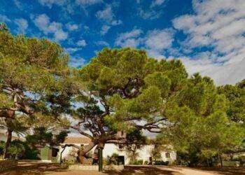 Aperture straordinarie e sconti per Giornate Europee Patrimonio