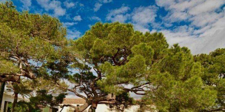 Aperture straordinarie e sconti per Giornate Europee Patrimonio