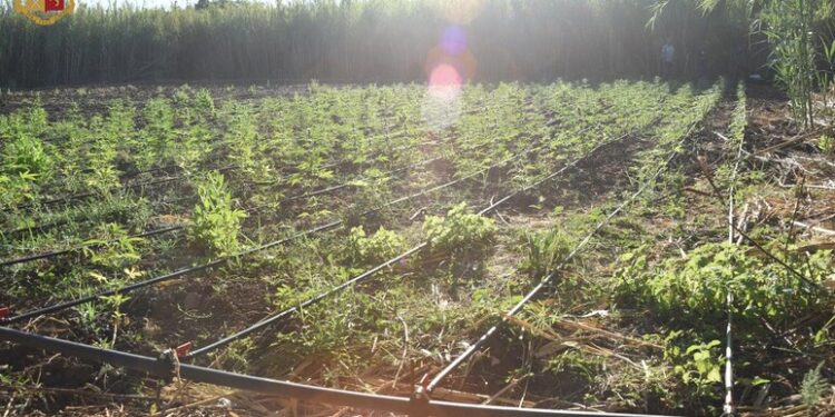 Dia, in Sardegna accordi con clan mafiosi su traffico di droga