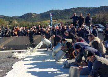 Pastori in allarme, ‘tentativi di ridurre prezzo Pecorino romano’