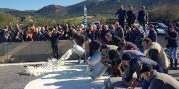 Pastori in allarme, ‘tentativi di ridurre prezzo Pecorino romano’