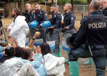 Peste suina, forze dell’ordine caricano gli animalisti al rifugio di maiali