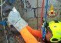 Decimomannu, gatto cade in un pozzo: salvato dai vigili del fuoco