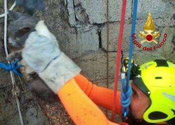 Decimomannu, gatto cade in un pozzo: salvato dai vigili del fuoco