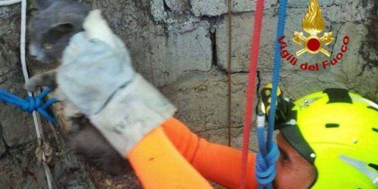 Decimomannu, gatto cade in un pozzo: salvato dai vigili del fuoco