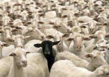 La Storia la scrivono i vincitori