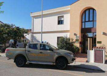 Incendiario seriale arrestato dalla Forestale ad Alghero