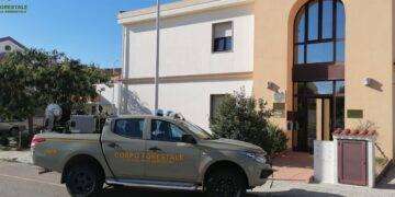 Incendiario seriale arrestato dalla Forestale ad Alghero