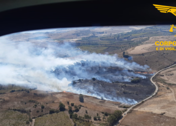 15 incendi in Sardegna nelle ultime ventiquattro ore