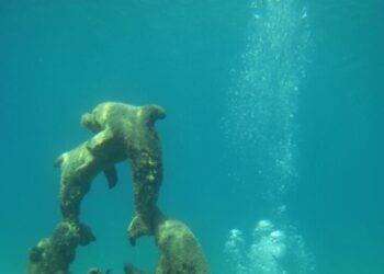 Le opere sommerse del MuMart tornano alla luce del sole