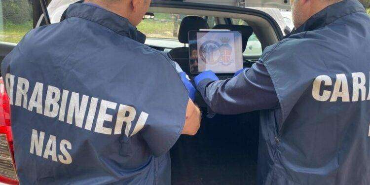 Nas in 59 aziende vitivinicole di Cagliari e Oristano, 9 sanzioni