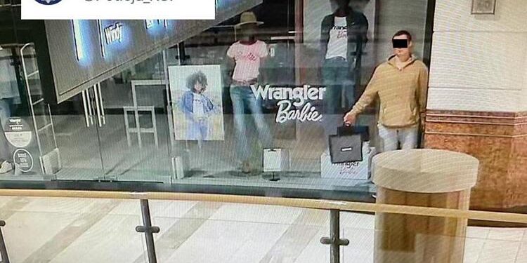 Si finge manichino in negozio per rubare: in manette 22enne