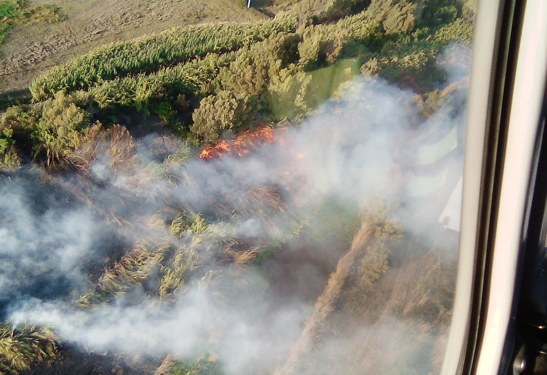 Fiamme in Sardegna, 25 incendi nelle ultime ore