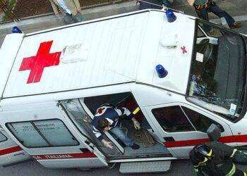 Grave una donna travolta da rottweiler caduto dal balcone