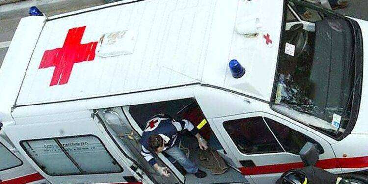 Grave una donna travolta da rottweiler caduto dal balcone