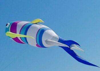 Al Poetto la prima festa internazionale dell’aquilone