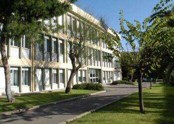 Agricoltura: Camminata tra gli Olivi, la Sardegna protagonista della settima edizione