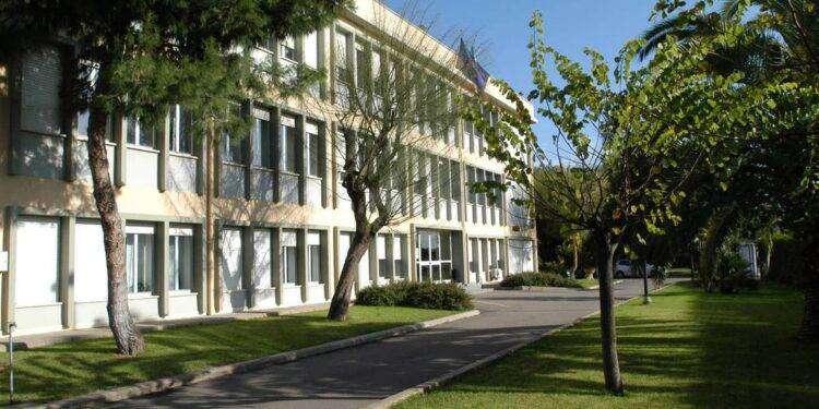 Agricoltura: Camminata tra gli Olivi, la Sardegna protagonista della settima edizione