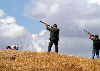 Tar boccia la Giunta Solinas su proroga a 31 gennaio caccia tordi e uccelli acquatici