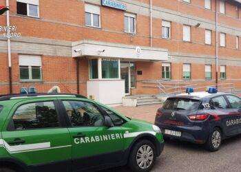 Carabinieri, quattro nuovi comandanti nel Nuorese