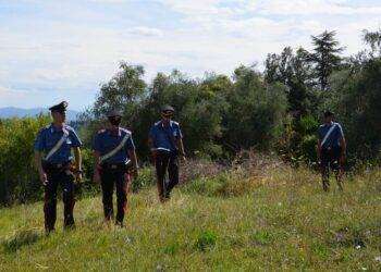 Oltre 5 chili di hascisc trovati nelle campagne di Serramanna