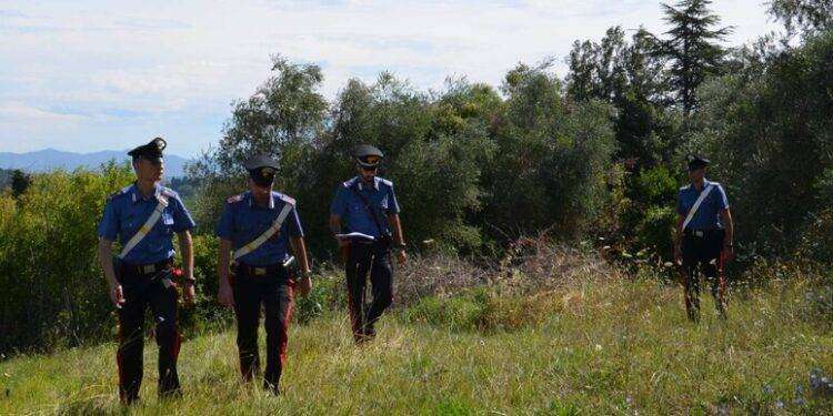 Oltre 5 chili di hascisc trovati nelle campagne di Serramanna