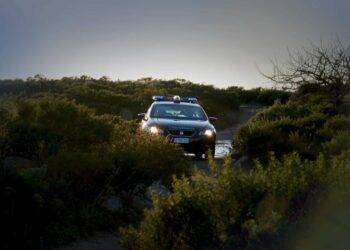 Tentano di rubare piante di canapa legale ma vengono scoperti