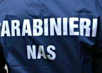 Nas controllano 413 centri sportivi, 118 violazioni, 7 chiusi