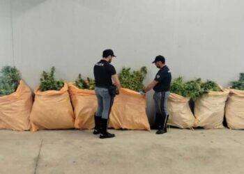 300 chili di marijuana nel suo autocarro, arrestato a Olbia
