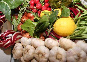 Si rafforza export verso Cina, 12 mlioni i beni venduti nel 2022