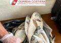 Due pescatori di frodo sorpresi nel Parco dell’Asinara