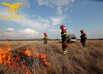 Fiamme in Sardegna, 28 incendi nelle ultime 24 ore