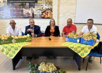 Coldiretti, nuovo marchio “M” dedicato a Maracalagonis