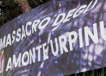 Aviaria a Cagliari, Enrico Rizzi torna a Cagliari a un anno dalla strage di animali: il 5 novembre a Monte Urpinu