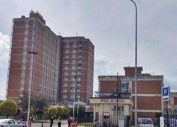 Morte cerebrale per direttrice carcere Nuoro dopo incidente