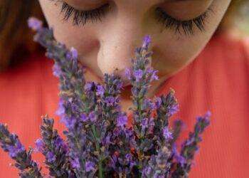 Nostra memoria olfattiva collettiva , ecco i profumi che amiamo