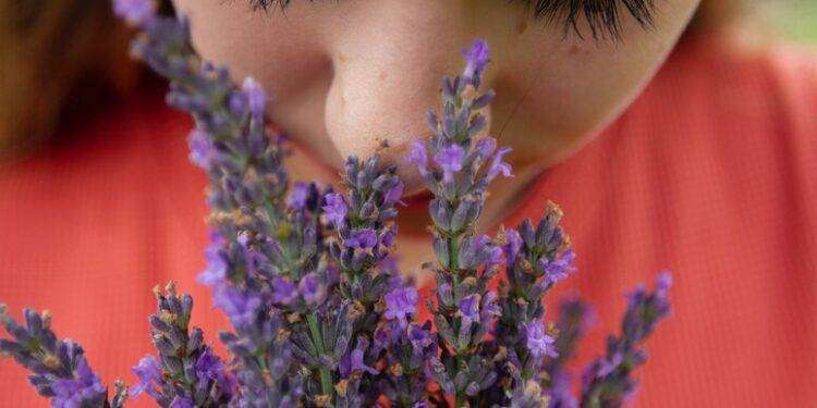 Nostra memoria olfattiva collettiva , ecco i profumi che amiamo