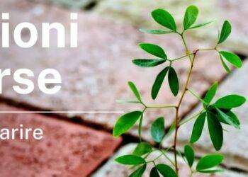 Danni da vaccino Covid 19,  il Comitato Ascoltami nuovamente in tante citta d’Italia