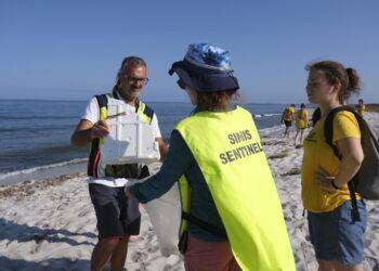 Oltre 100 volontari per la tutela dell’ambiente del Sinis