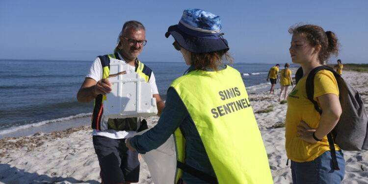Oltre 100 volontari per la tutela dell’ambiente del Sinis
