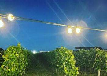 Viaggio enogastronomico per quasi 6 italiani su 10