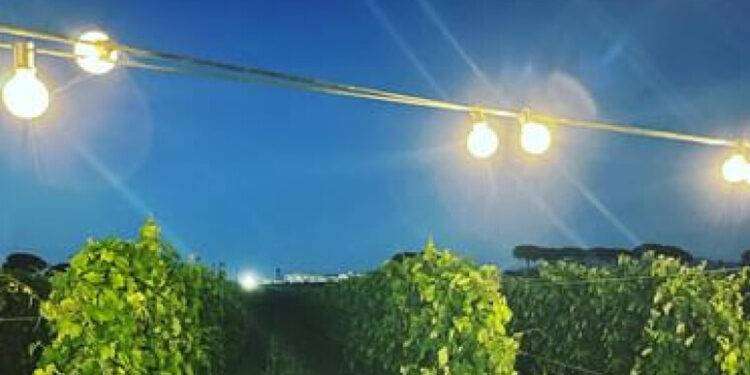 Viaggio enogastronomico per quasi 6 italiani su 10