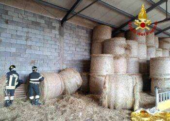 Incidente sul lavoro in azienda agricola a Sindia: balla di fieno schiaccia operaio