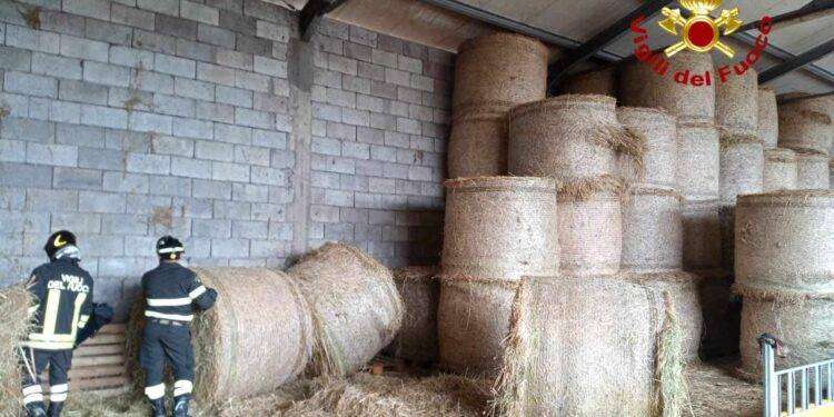 Incidente sul lavoro in azienda agricola a Sindia: balla di fieno schiaccia operaio