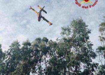 Fiamme in Sardegna, diversi incendi nell’isola: in azione i canadair ed evacuate 20 persone
