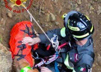 Nuxis, cane da caccia cade in un dirupo