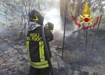 Due incendi sul litorale di Olbia, Vigili del fuoco in azione