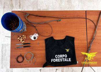 Bracconaggio nel parco di Gutturu Mannu, denunciato cacciatore di frodo