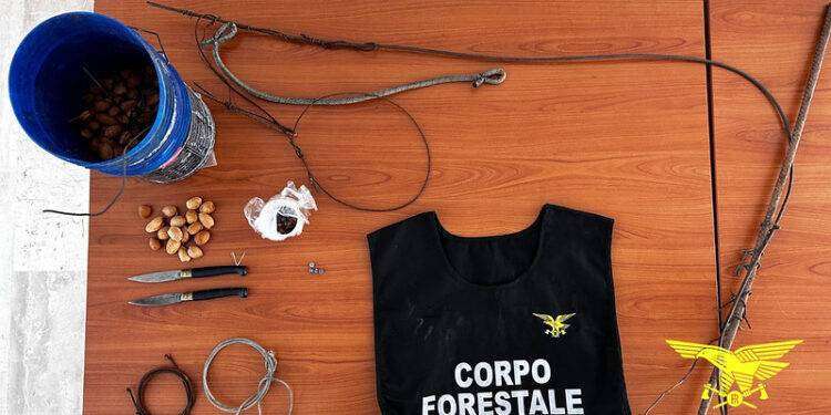 Bracconaggio nel parco di Gutturu Mannu, denunciato cacciatore di frodo